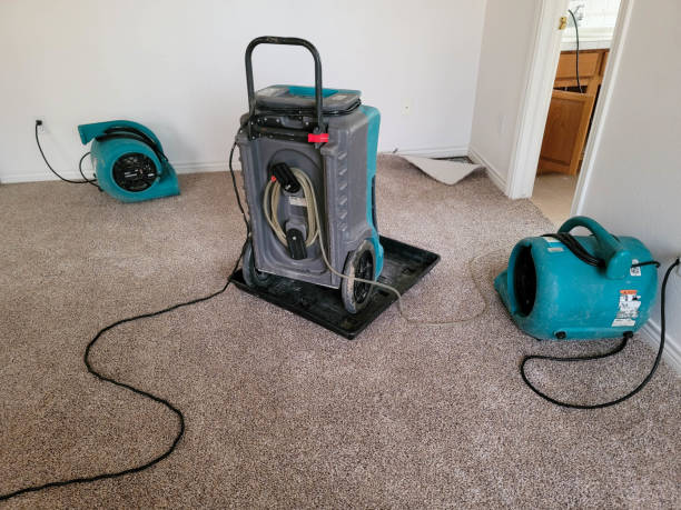 Best Water damage cleanup near me  in Lemoyne, PA