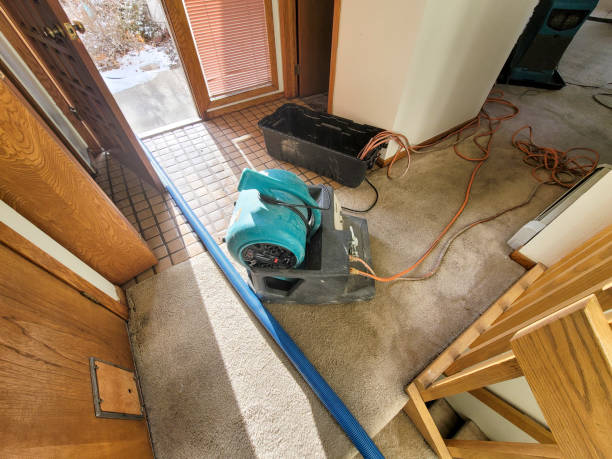 Best Carpet water damage restoration  in Lemoyne, PA