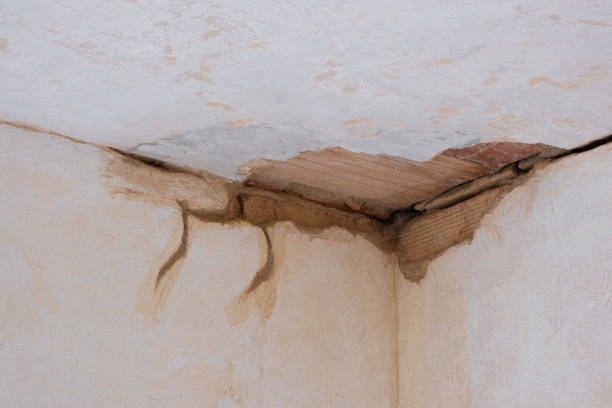 Best 24-hour water damage restoration  in Lemoyne, PA