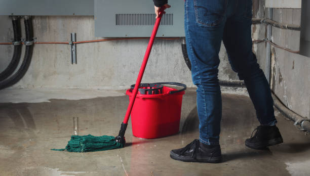 Best Fire Damage Restoration  in Lemoyne, PA