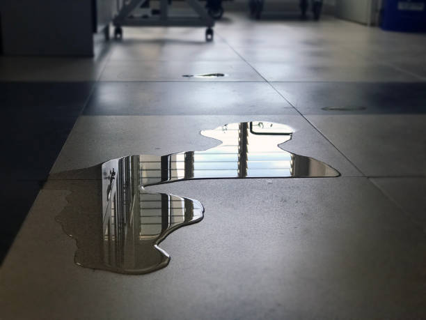 Best Water damage restoration near me  in Lemoyne, PA