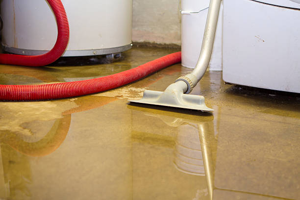 Best Professional water damage repair  in Lemoyne, PA