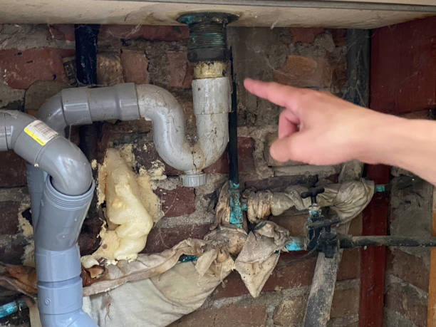 Best 24/7 water damage repair  in Lemoyne, PA