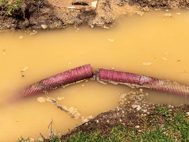 Best Flood damage cleanup  in Lemoyne, PA