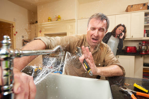 Best Flooded house restoration  in Lemoyne, PA